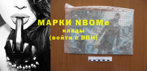 ешки Алексин