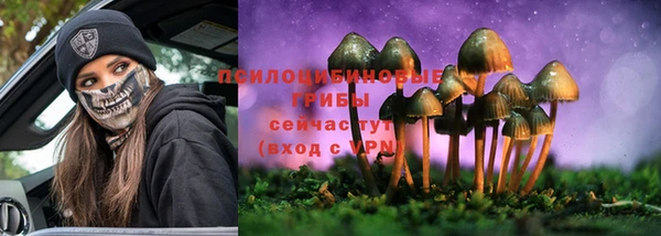 спиды Алексеевка