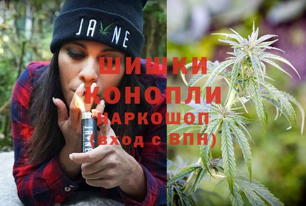 ешки Алексин
