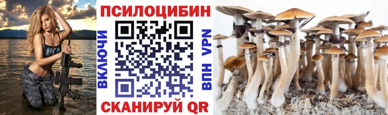 площадка официальный сайт  Усть-Илимск  Псилоцибиновые грибы Psilocybine cubensis  наркота 